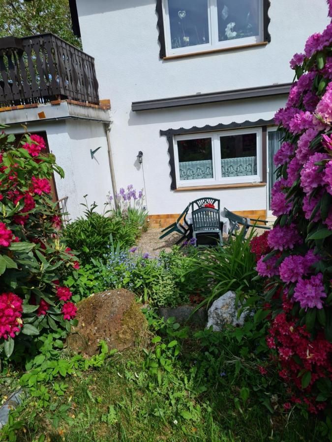 Ferienwohnung Eva Grebenhain Exteriér fotografie